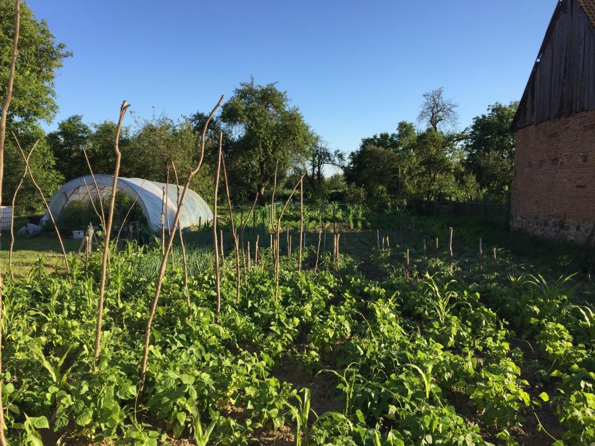 Pensiune Agroturistica Hanna Ocland 外观 照片